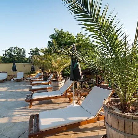 호텔 Family Dayana 시네모레츠