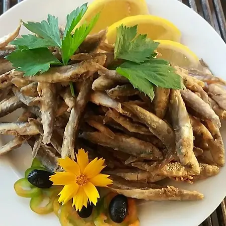 호텔 Family Dayana 시네모레츠